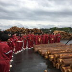 ①原木市場の見学（㈱新宮原木市場協力）