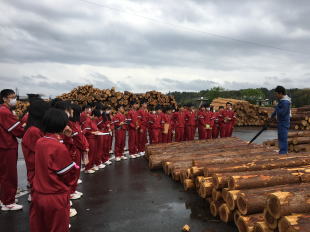 ①原木市場の見学(㈱新宮原木市場協力)