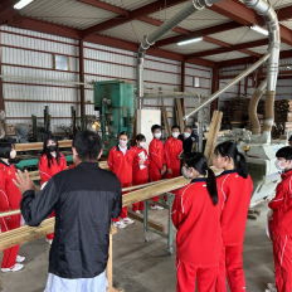 ②製材工場の見学(協力:板美商店)